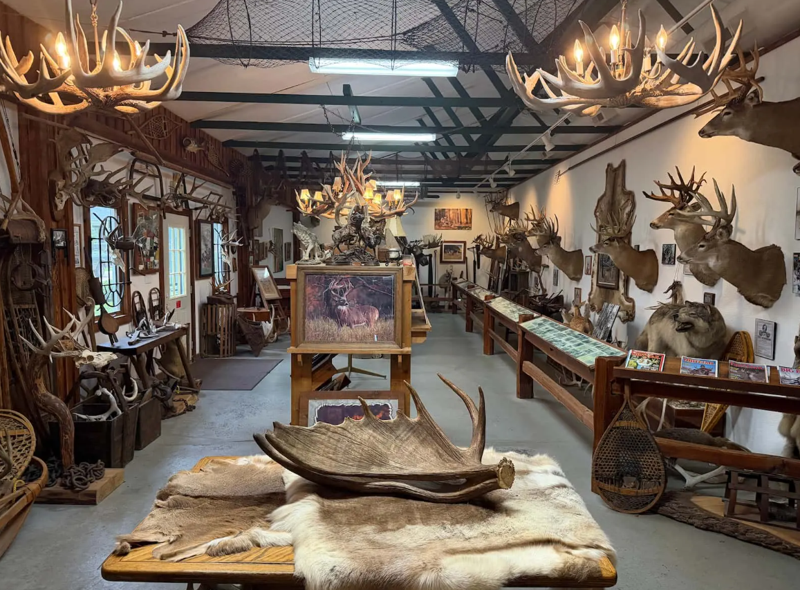 Whitetail-Museum.png